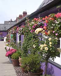 The Market Square in Beaumaris on 7 July 2004. Photo: &copy; D Perkins.